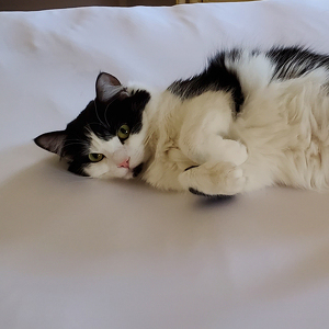 Fundraising Page: Rose PAC Alum